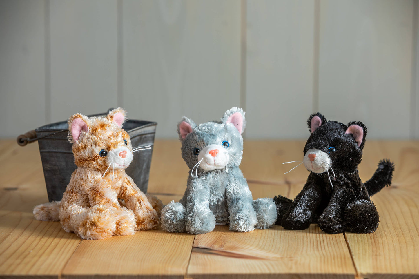 Mary Meyer - Catsy Kitty Assortment