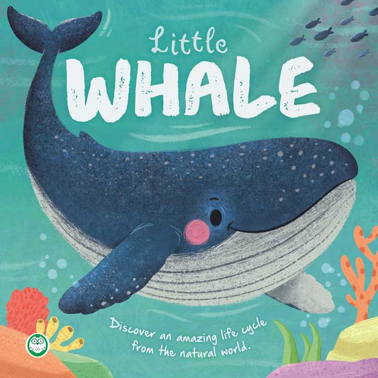 Simon & Schuster - Nature Stories: Little Whale by IglooBooks: Board Books; 24 pages / English