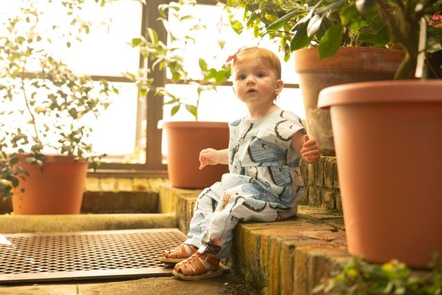 Pink Chicken - Baby Girls Alexandra Jumper - Blue Vintage Butterflies