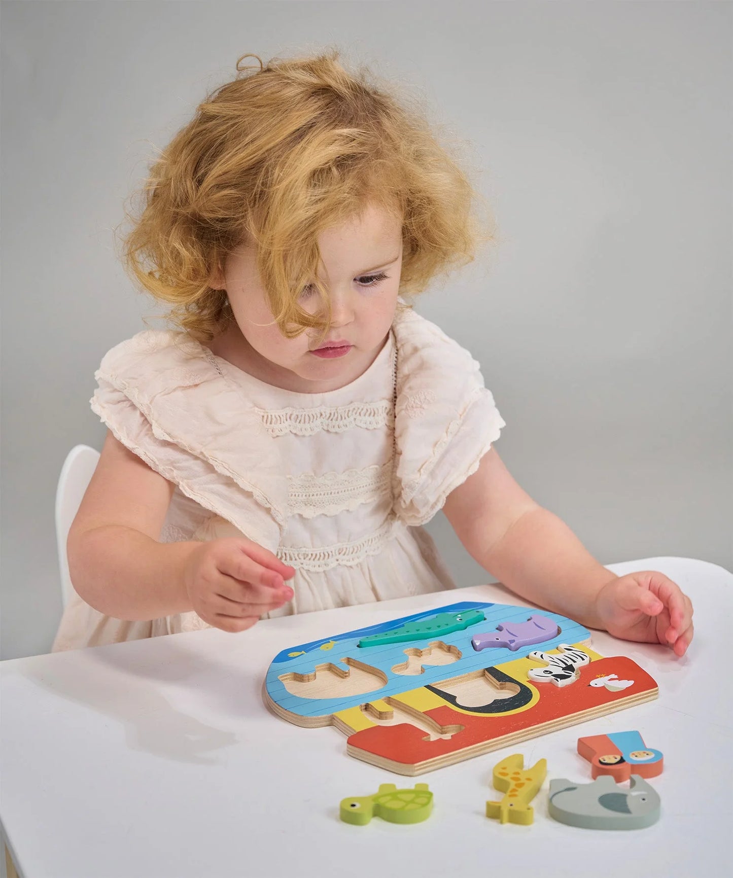 Mentari Toys - Shape Sorting Ark Tray