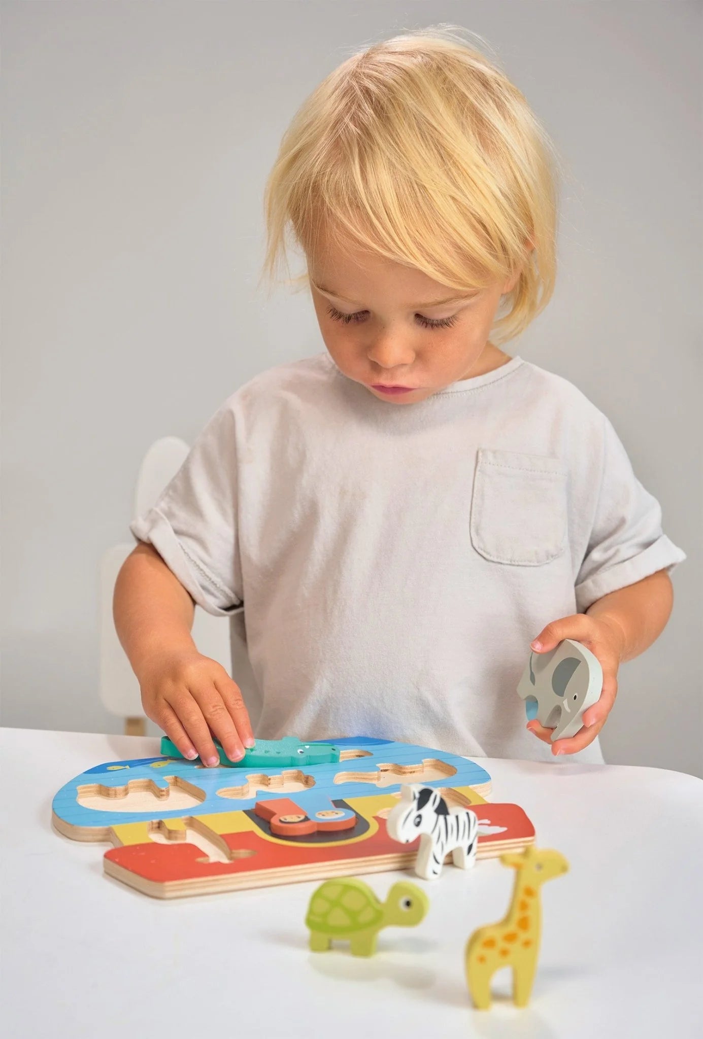 Mentari Toys - Shape Sorting Ark Tray