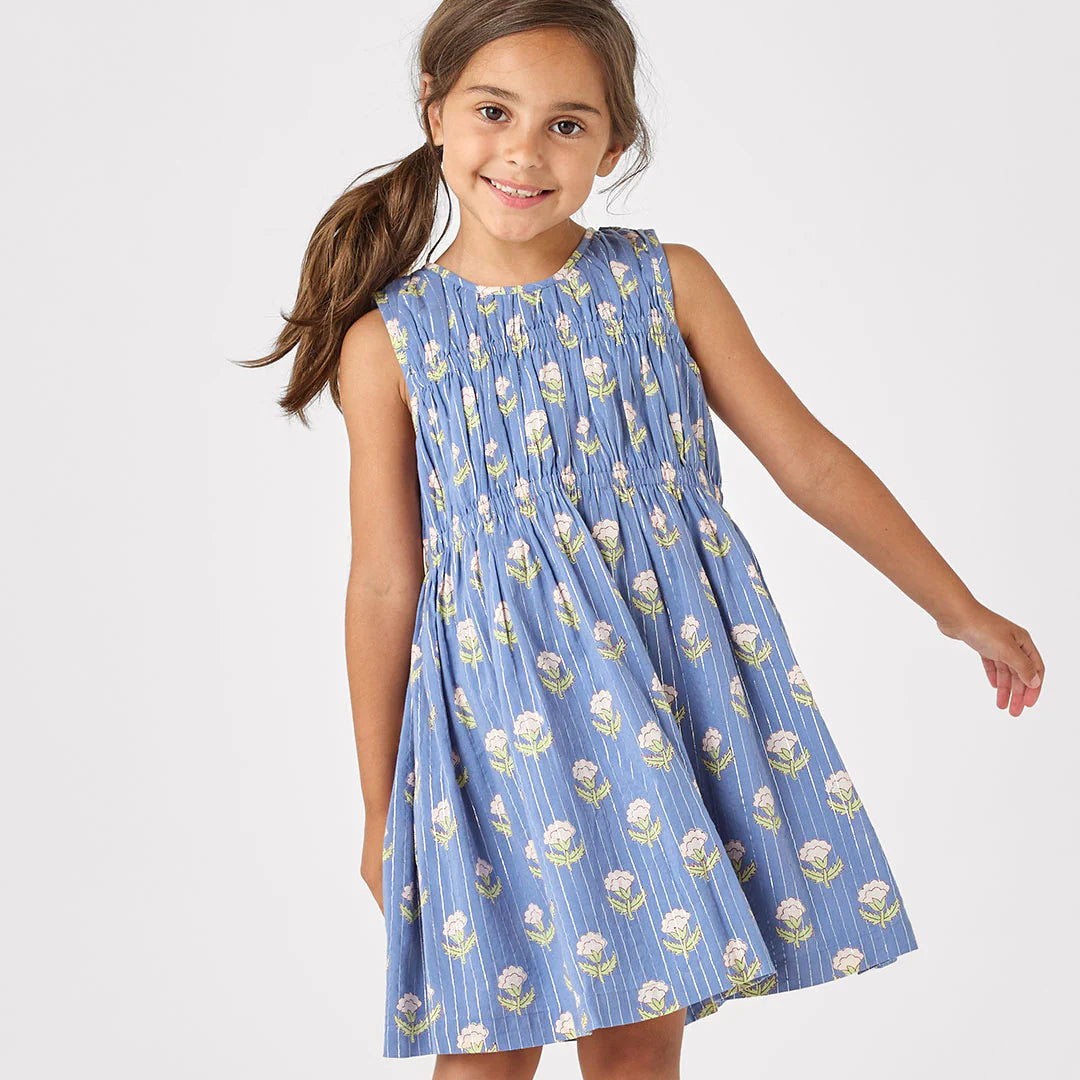 Pink Chicken - Girls Sleeveless Waverly Dress - Periwinkle Small Bud