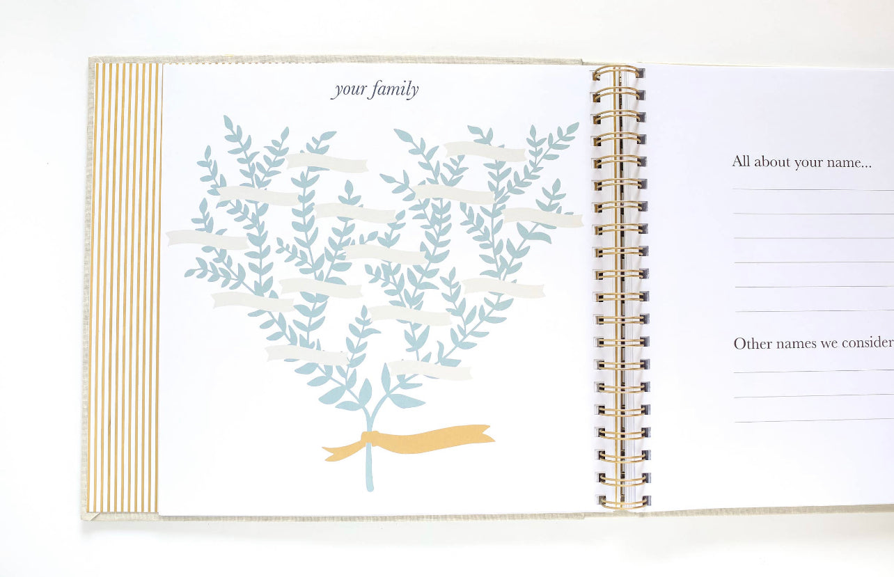 Paper Peony Press - The Baby Memory Book